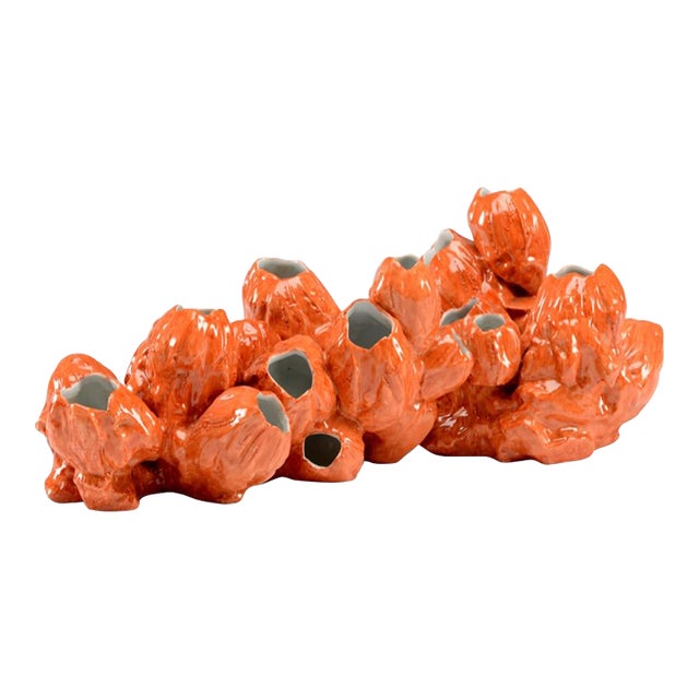 Wildwood Glazed Porcelain Barnacles - Orange For Sale