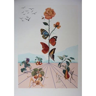Salvador Dali, Flordali II: La rose papillon, Lithograph For Sale