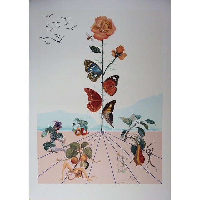 Salvador Dali, Flordali II: La rose papillon, Lithograph For Sale