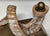 1980s Hart Associates Decorative Faux Ram's Horn Sculpture For Sale In Atlanta - Image 6 of 11