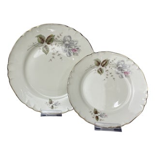 Vintage Porcelain Service by Richard Ginori, 1960s, Set of 25 For Sale