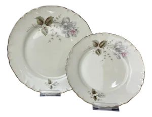 Vintage Porcelain Service by Richard Ginori, 1960s, Set of 25