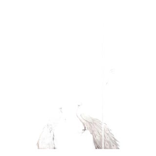 36" * H96" * 2ps, Hand-Painted French Retro Tropical Garden White Peacock Wall Mural, Low-Saturation Misty Scenic Wall Covering For Sale