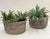 English Basket-Weave Style Garden Stone Round Planter Pots - Two Available For Sale - Image 4 of 10