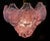 Italian Pink Shell Chandelier, Murano For Sale - Image 14 of 18