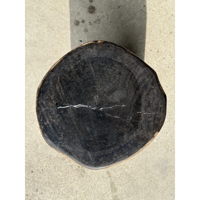 Petrified Wood Side Table with Black Heart For Sale - Image 3 of 18