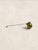 Antique English Brass Rum Spirit Ladle For Sale - Image 4 of 8