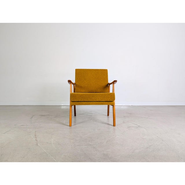Mid-Century Modern Mid-Century Modern Tuclé Easy Chair For Sale - Image 3 of 10