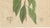 Antique Camphor Botanical Print Laurus Camphora, 1831 For Sale - Image 5 of 10