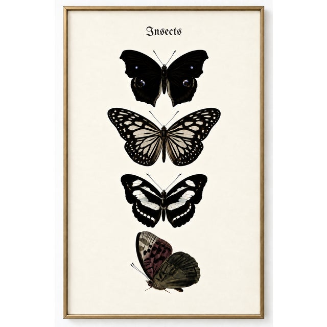Four detailed butterflies stand against warm ivory in this butterfly art print, adapted from a historic natural history...