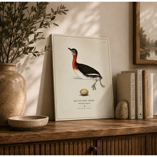 THE WILLIAM LEWIN WATERBIRDS & WADERS COLLECTION "The Red Necked Grebe" Introduce a striking anchor of historical British...