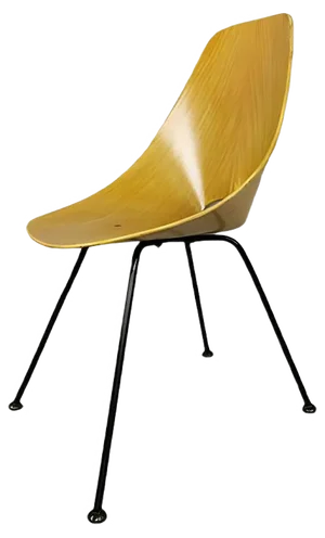 Oak Plywood Medea Chair by Vittorio Nobili for Fratelli Tagliabue, 1950s
