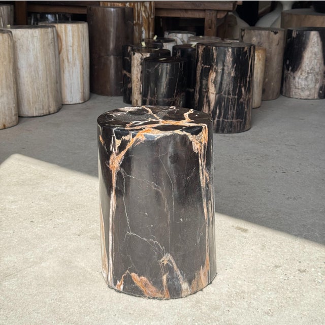 Side Table in Black Petrified Wood with Beige Star Pattern For Sale - Image 10 of 18