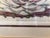 This piece is a classical color lithographic plate depicting the Victoria Regia, a giant water lily native to the Amazon...
