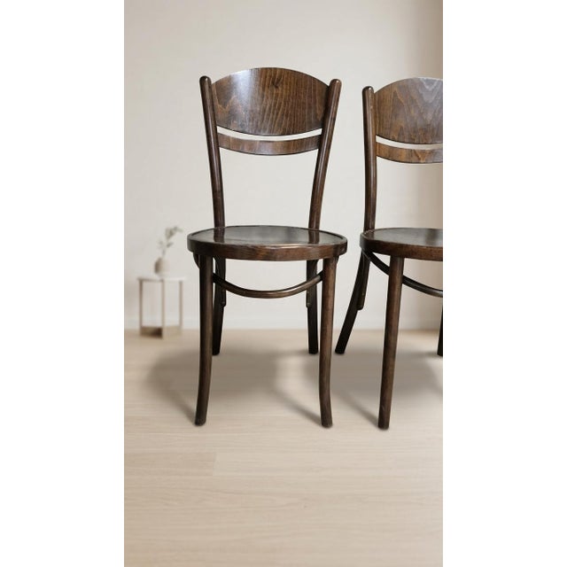 1940s Vintage Ton Wooden Dining Chairs, 1940s, Set of 4 For Sale - Image 5 of 16