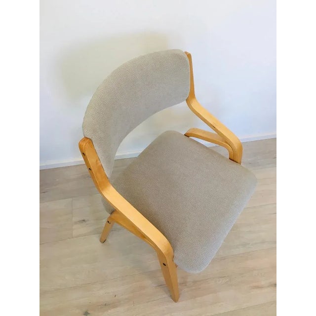 Set of Chairs by Ludwig Volak for Drevopodnik Holesov For Sale - Image 4 of 13