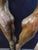 Renzo "One Thought Conceived" Bronze Sculpture Hand Signed Artwork Lifesize For Sale - Image 12 of 17