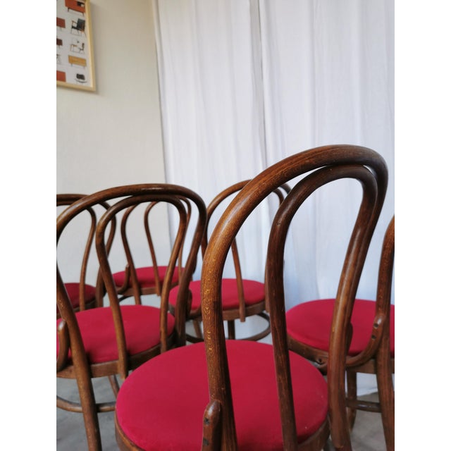 Mid-Century Modern Vintage Bentwood Bistro Chairs, 1970s, Set of 8 For Sale - Image 3 of 18