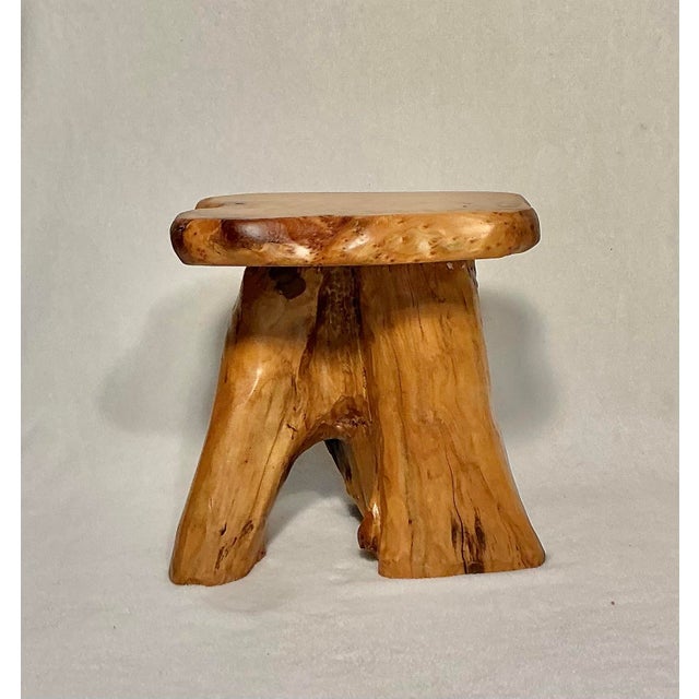 Unique, handcrafted Birdseye Maple tree stump side table. 100% wood. Features thick natural organic live-edge shape top,...