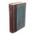 Antique Reference Book, British Fungi, George Massee, English, Natural, Science For Sale