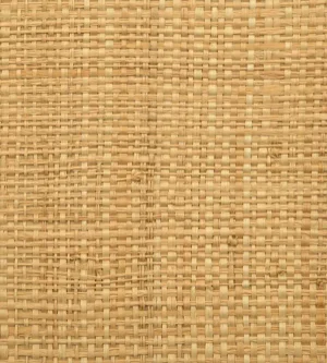 Hinson for The House of Scalamandre Hinson Madagascar Fine Wallcovering, Natural