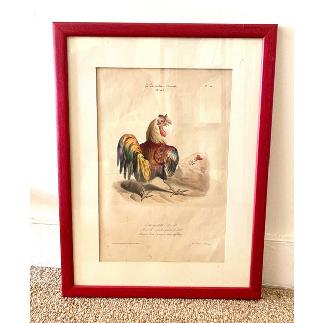 Red French Colored Engraving From "La Caricature" Depicting a Rooster For Sale - Image 8 of 8