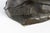 Brown Bust of a Young Woman, 1900, Bronze For Sale - Image 8 of 10