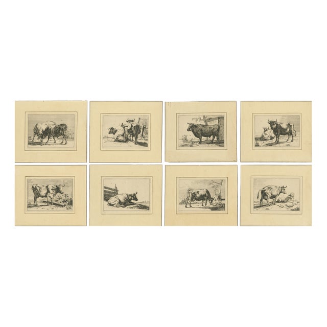 After Paulus Potter, Cattle, 1650, Set of 8 For Sale