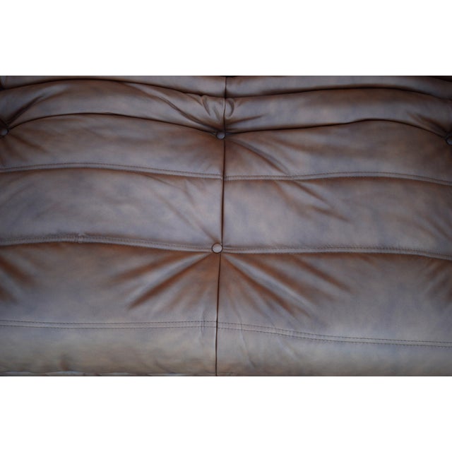 Togo Sofa Set by Michel Ducaroy for Ligne Roset in Brown Leather, Set of 5 For Sale - Image 9 of 10