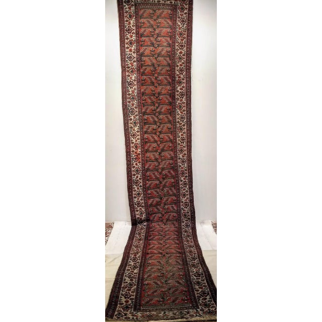 1900 - 1909 Antique Persian Malayer Runner Rug, Hand-Knotted Wool, Geometric Pattern, 3x16, Red & Ivory For Sale - Image 5 of 6