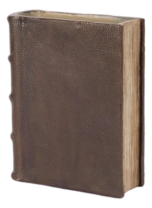 Decorative Book Vase 7.75"H