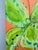 Abstract Michelle Zastawny Signed Original Abstract Botanical Painting on Canvas For Sale - Image 3 of 17