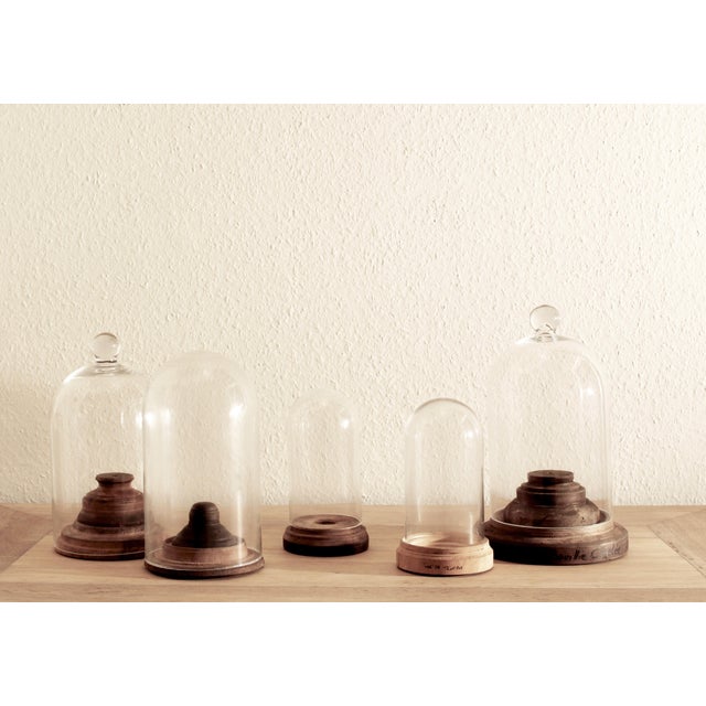 Brown French Handblown Glass Bell Jar Display with Wooden Stand Marking Arc De Triomphe, Paris, Set of 5 For Sale - Image 8 of 10