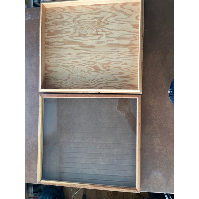 Set of 6 Vintage Uc Berkeley Museum Entomology Specimen Cases – Cis Stamped For Sale - Image 11 of 11