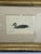 Kathleen Jessica O’Leary Pencil Drawing of Black Duck, 1980 For Sale In Providence - Image 6 of 9