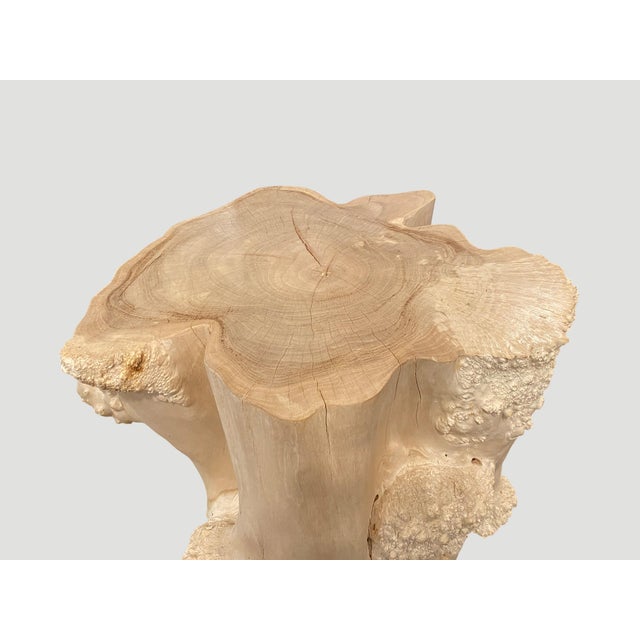 Andrianna Shamaris Rare Bleached Teak Root Pedestal For Sale - Image 4 of 18