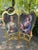 Gold 1960 French Louis XVI Gold Beech Portrait Screen Room Divider - 2 Panels For Sale - Image 8 of 10