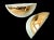 Gs wall lighting refers to a specific type of wall lamp designed and produced in germany by the brand gs, mainly in the...