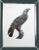 Description De l'Égypte Imperial Eagle Engraving, Savigny, Barraband, Circa 1826 For Sale - Image 12 of 12