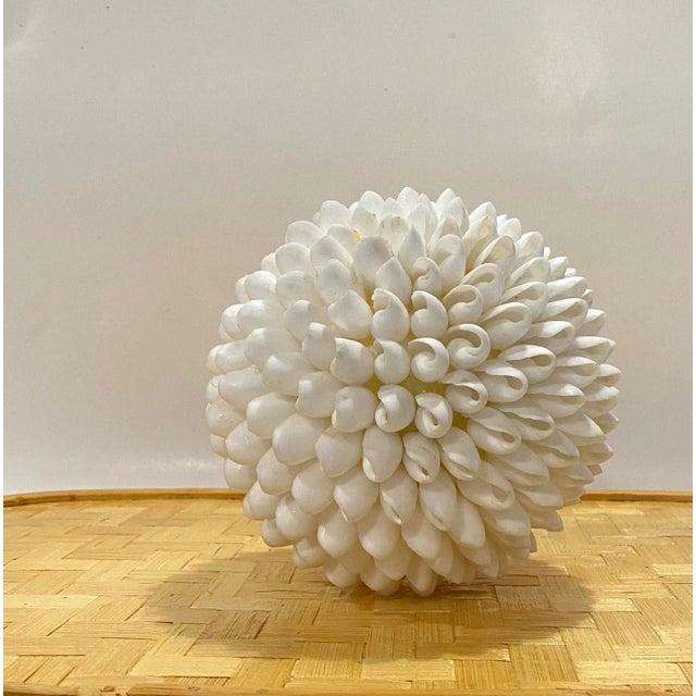 1997 Sea Shell Decorative Ball, White For Sale In Atlanta - Image 6 of 8