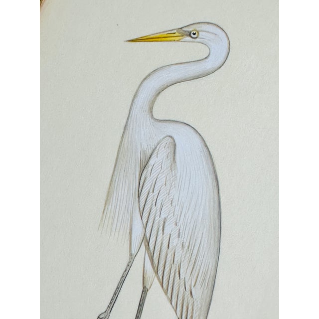 Not Yet Made - Made To Order Hand-Painted White Heron Painting. Framed For Sale - Image 5 of 5