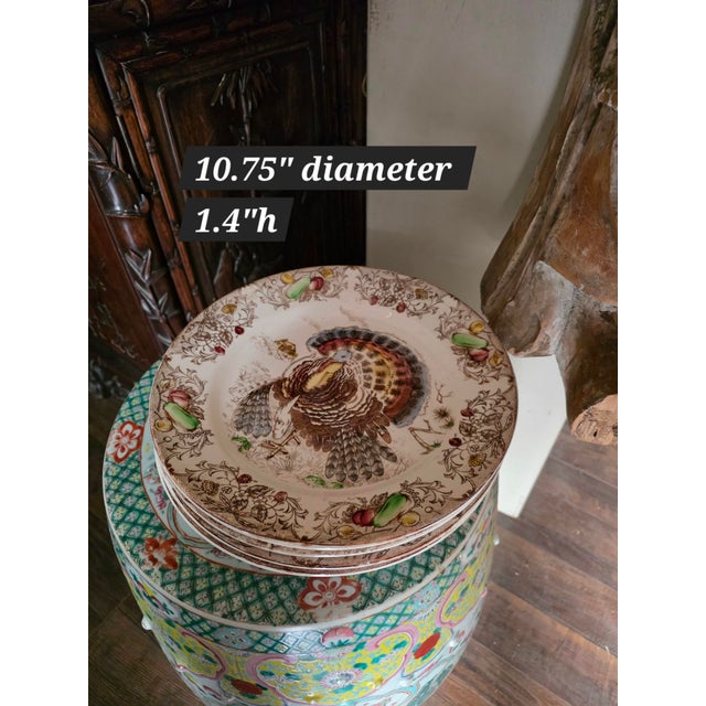 Charming vintage Thanksgiving Themed Turkey plates.