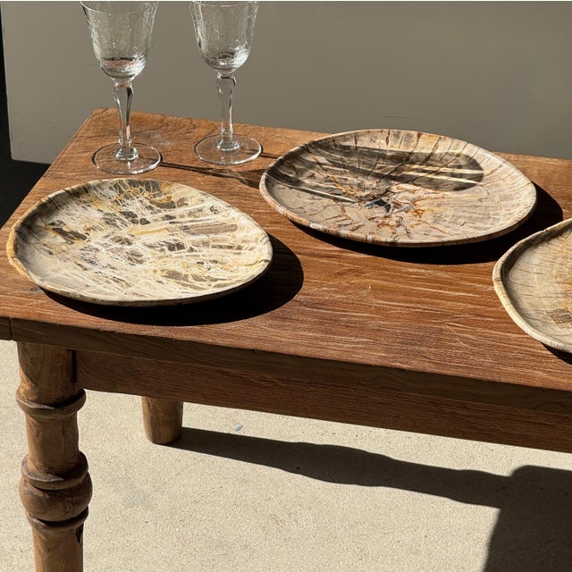 Small Trinket Tray or Dish in Beige Petrified Wood with Small Black Heart-Shaped Circles D21-25 -3314 For Sale - Image 14 of 18
