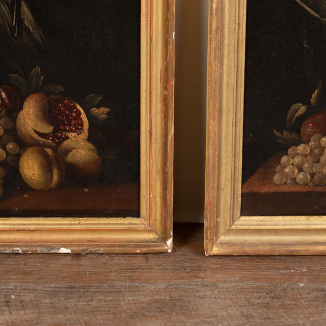Late 18th Century Pair of Original Oil on Canvas Still Life Paintings of Fruit and Foul For Sale - Image 12 of 14