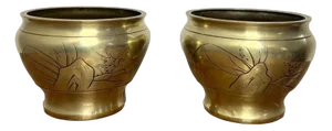 Edwardian Brass Jardinieres, 1900, Set of 2