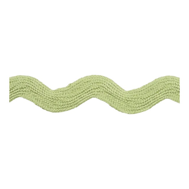 Schumacher Ric Rac Tape Large Tape in Celadon For Sale