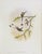 FREE SHIPPING ANYWHERE IN THE CONTINENTAL US! This is a set of John Gould Humming Bird full color lithographs. 1st edition...