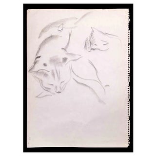 Giselle Halff, Sleeping Cat, Original Pencil Drawing, 1965 For Sale