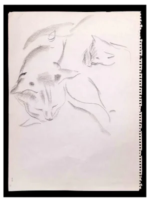 Giselle Halff, Sleeping Cat, Original Pencil Drawing, 1965