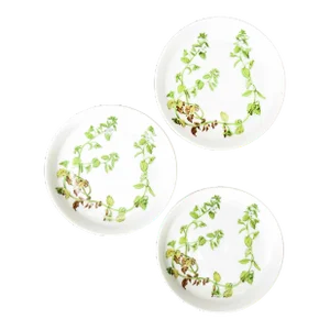 Porcelaine De Paris White & Green Botanical Plates, Set of 3